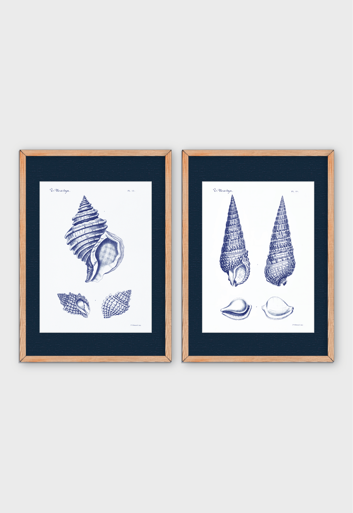 CARACOLAS DE MAR I