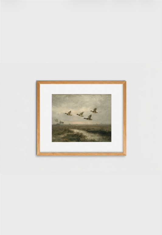 Bandada de patos vintage