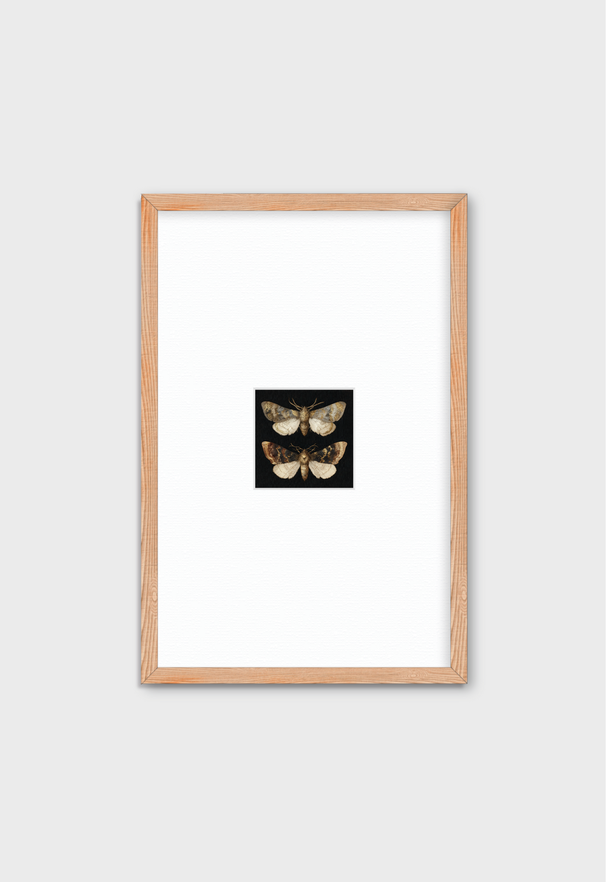 DOS MARIPOSAS EN FONDO NEGRO