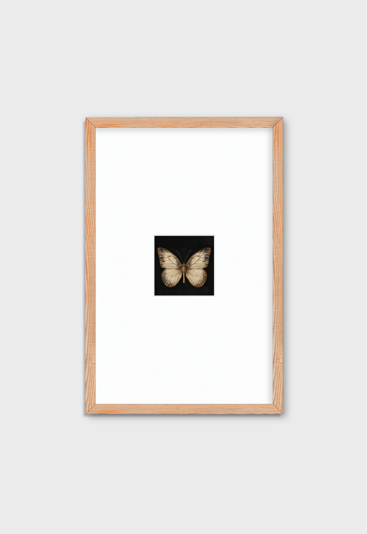 MARIPOSA EN FONDO NEGRO