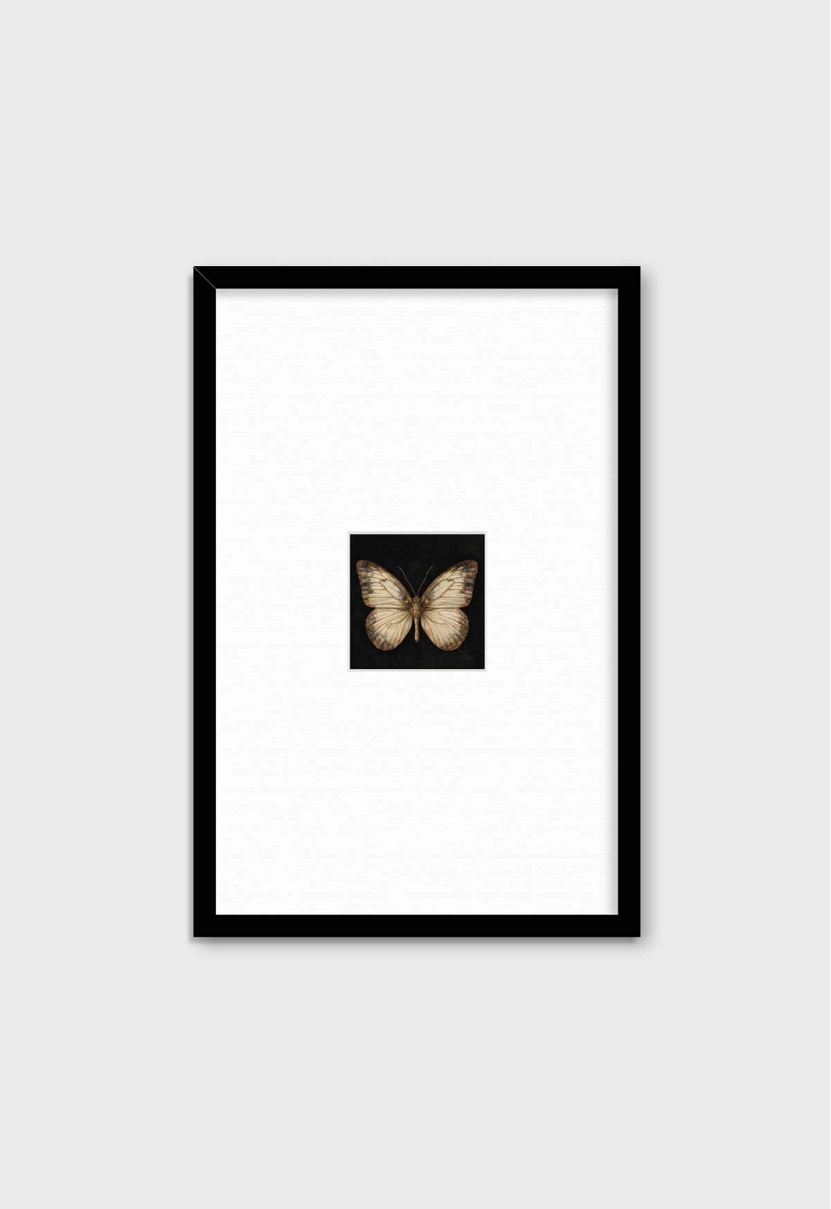 MARIPOSA EN FONDO NEGRO