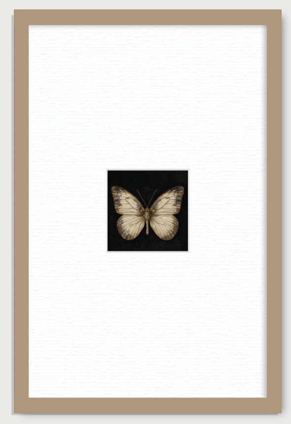 MARIPOSA EN FONDO NEGRO