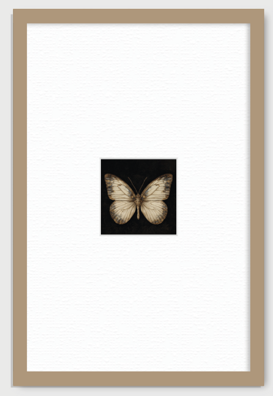 MARIPOSA EN FONDO NEGRO